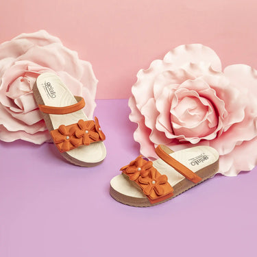 Woodstock iris Rame