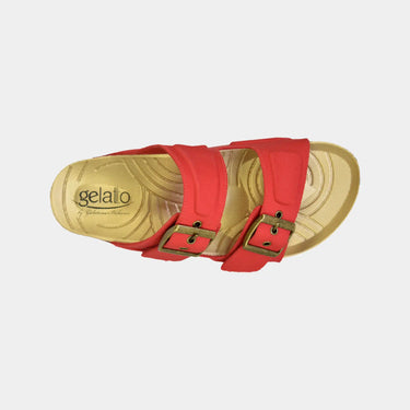Woodstock 2.0 Red